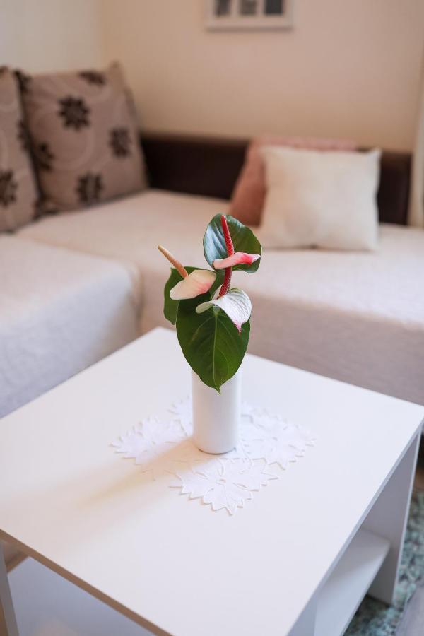 Apartment Rita Zadar Dış mekan fotoğraf
